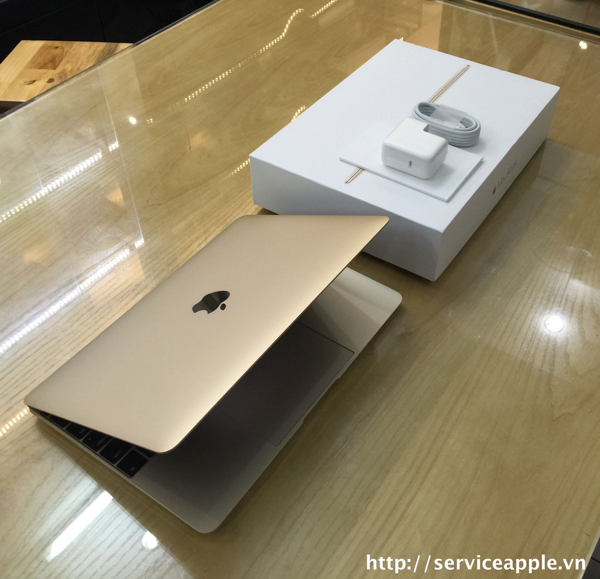The New MacBook 12 inch GOLD - MK4N2_2.jpg